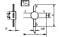  31 